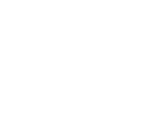 Plutdach
